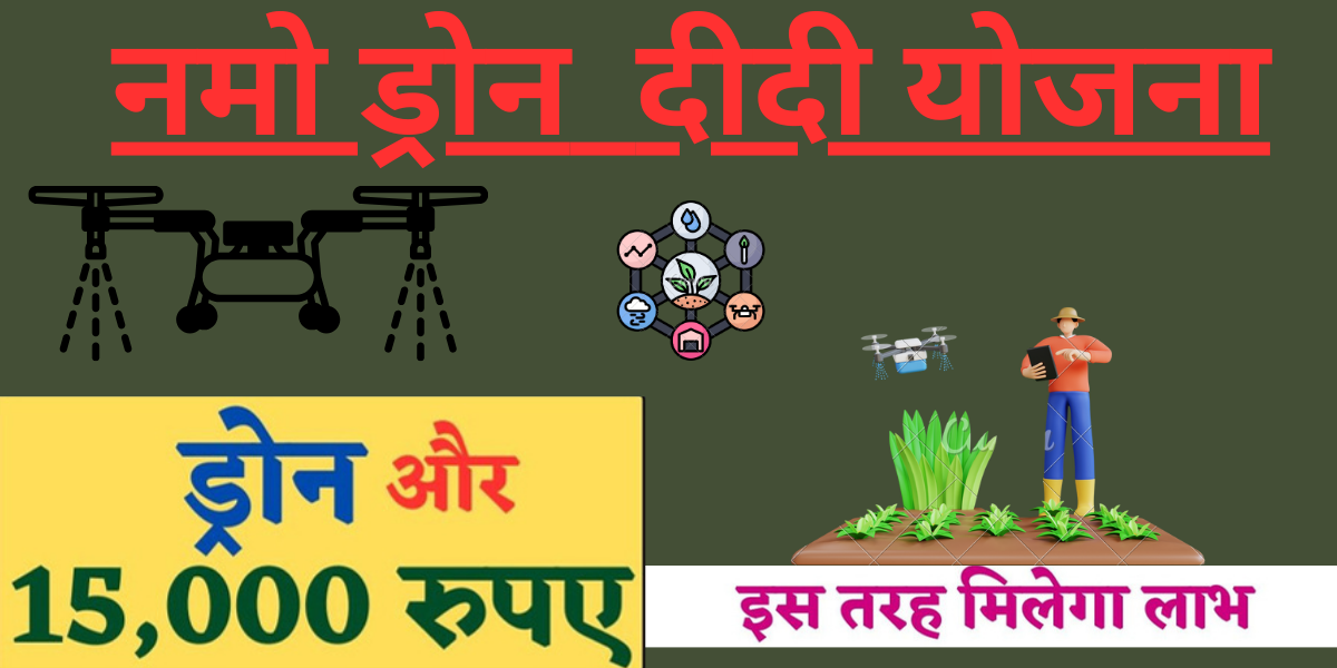 Namo Drone Didi Scheme